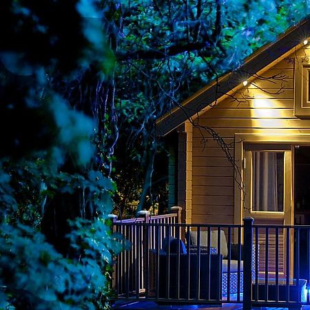 ボーンマス Alum Chine Log Cabinヴィラ エクステリア 写真