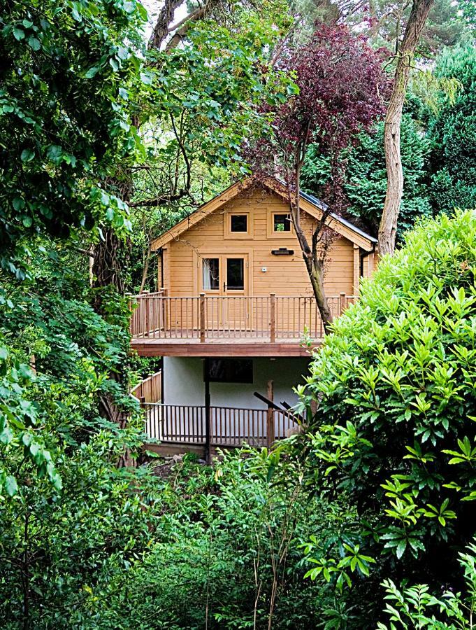 ボーンマス Alum Chine Log Cabinヴィラ エクステリア 写真